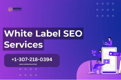 Affordable White Label Link Building for Agencies – Monk Outsourcing